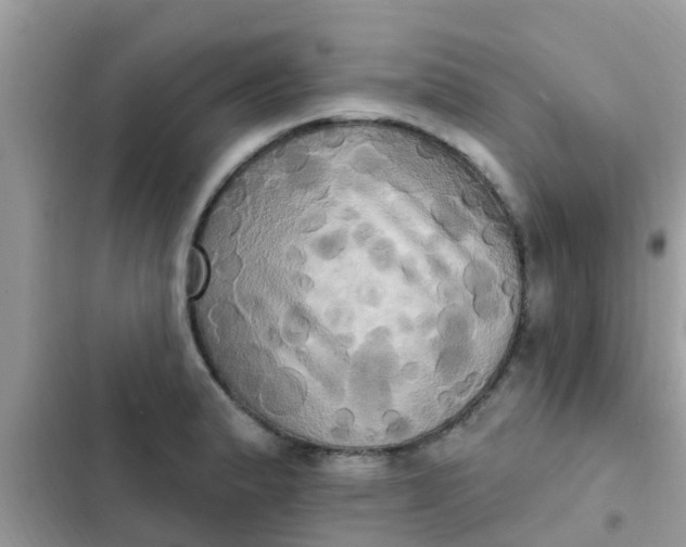 X0000102411183200808151958