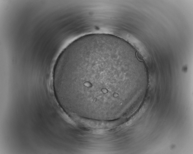 X0000102411184200808151958