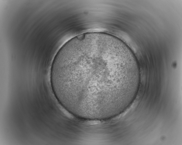 X0000102411186200808151958