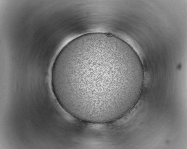 X0000102411187200808151958