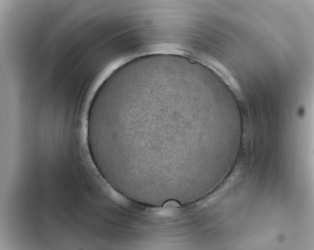 X0000102411188200808151958