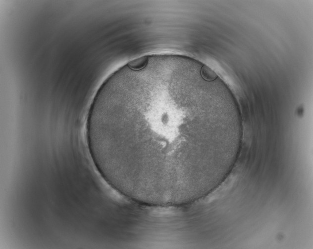 X0000102411189200808151958