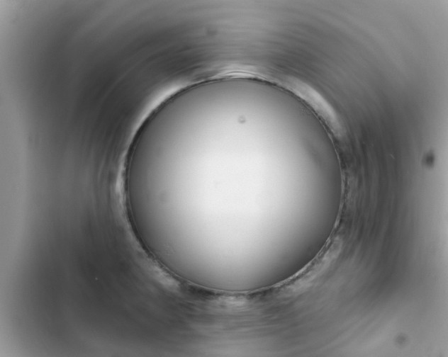 X0000102411190200808151958