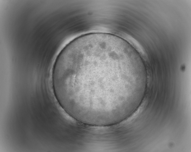 X0000102411192200808151958