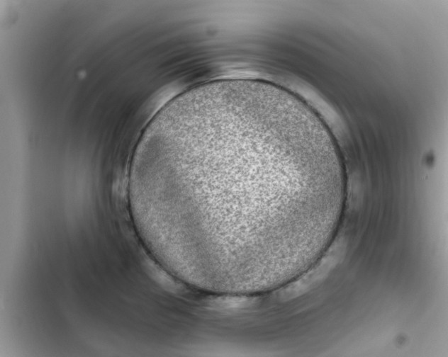 X0000102411193200808151958