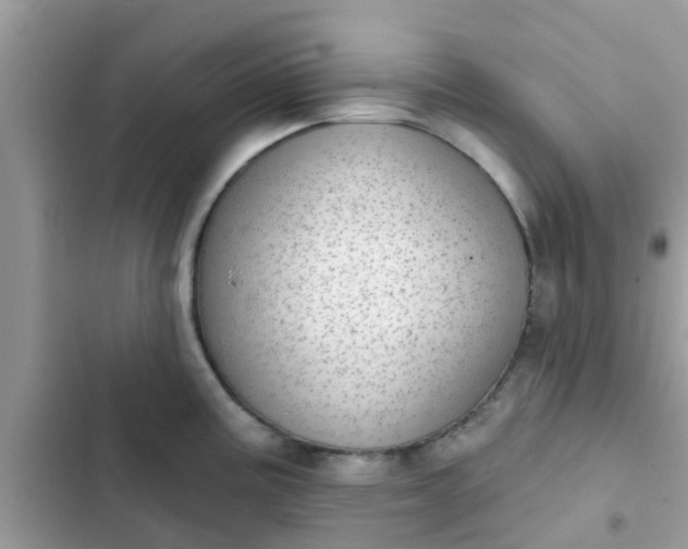 X0000102411195200808151958