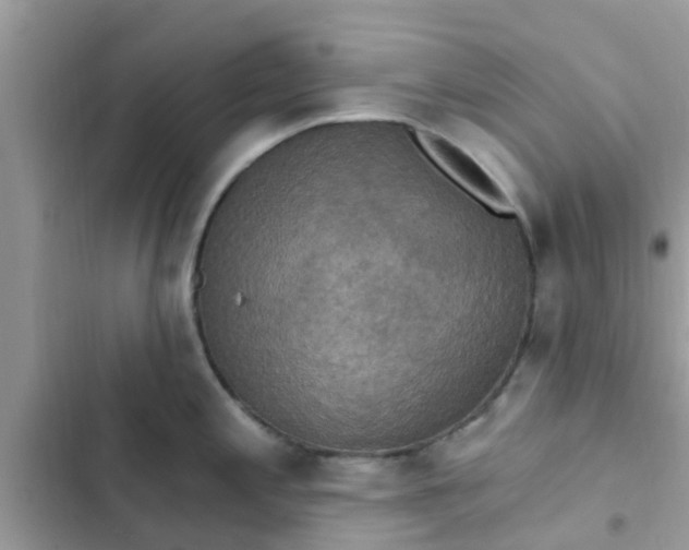 X0000102411197200808151958