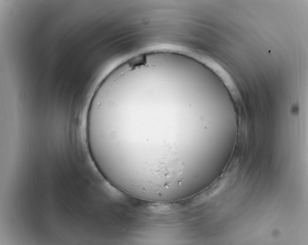 X0000102411199200808151958