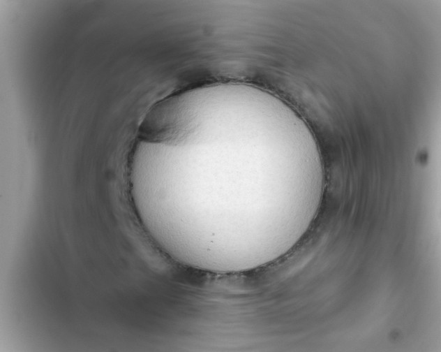 X0000102411201200808151957