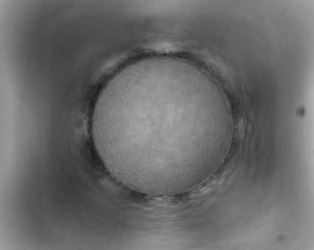 X0000102411205200808151957