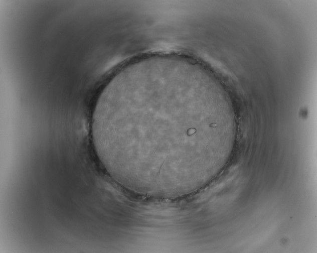 X0000102411206200808151957