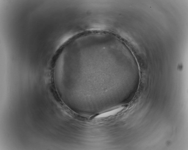 X0000102411208200808151958