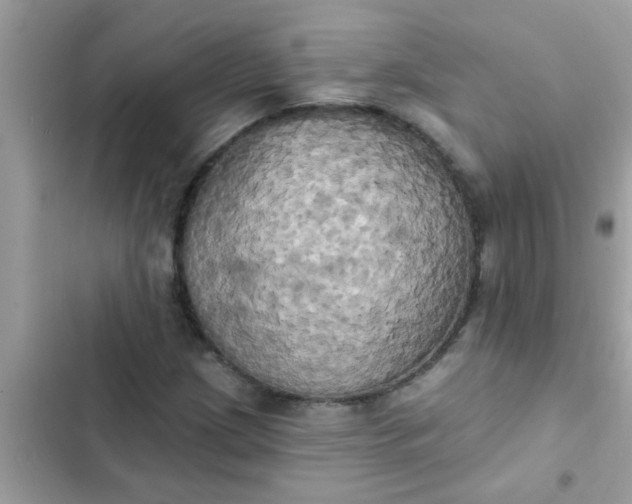 X0000102411209200808151958