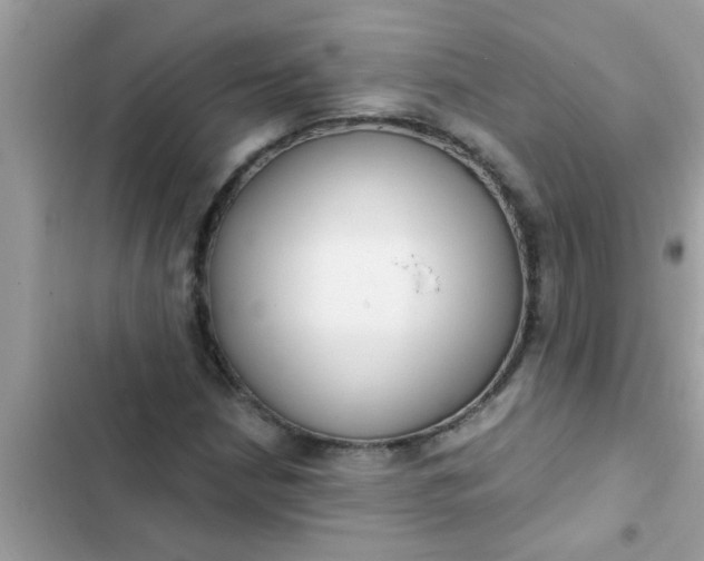 X0000102411210200808151958