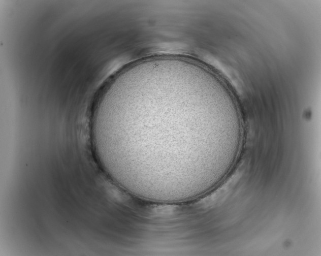 X0000102411211200808151958