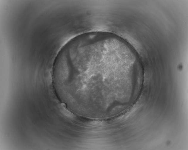 X0000102411212200808151958