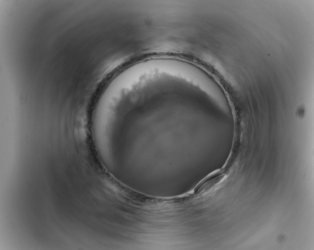 X0000102411213200808151958