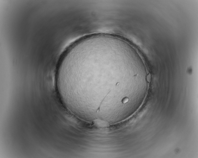 X0000102411214200808151958