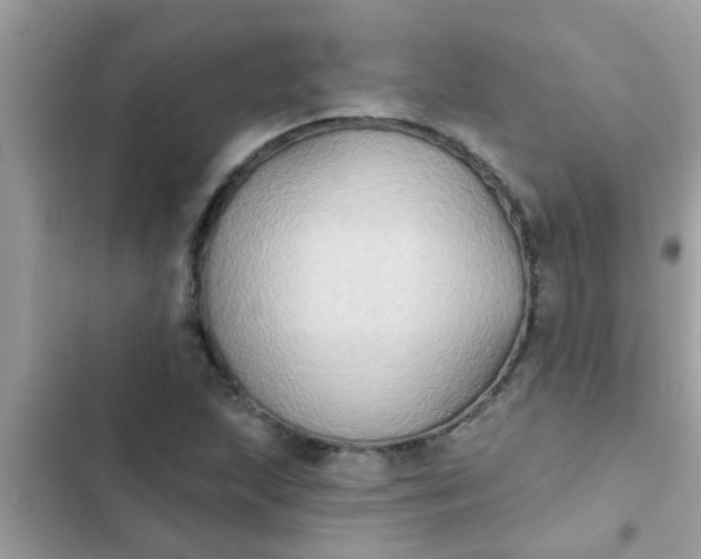 X0000102411215200808151958