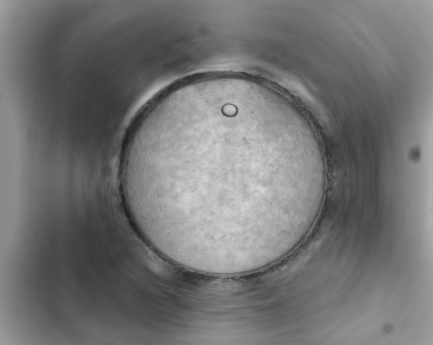 X0000102411216200808151958