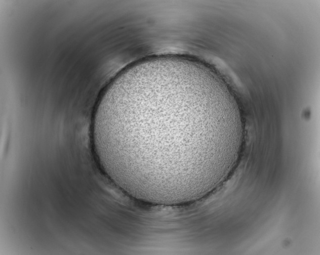 X0000102411217200808151958