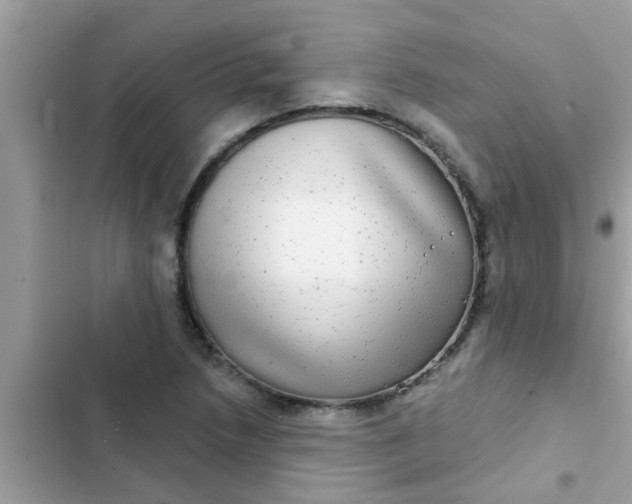 X0000102411218200808151958