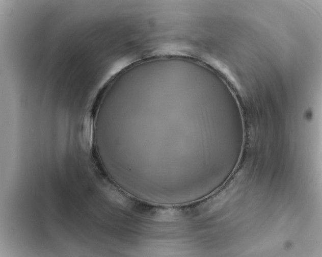 X0000102411219200808151958