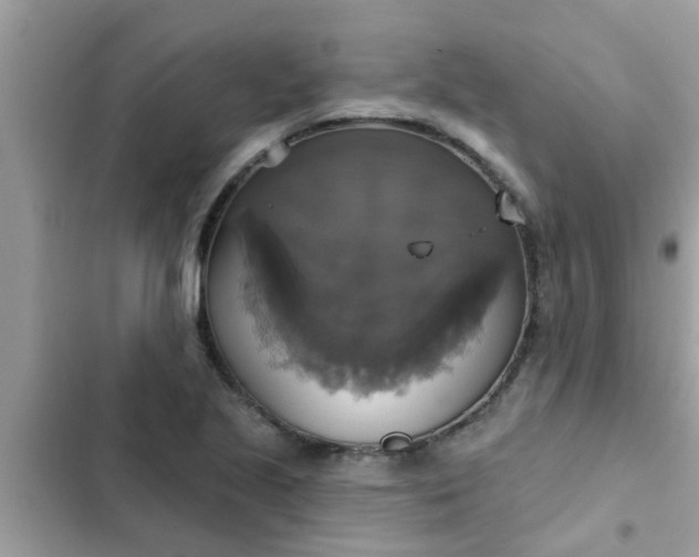 X0000102411221200808151958