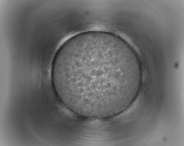 X0000102411222200808151958