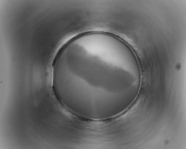 X0000102411223200808151958