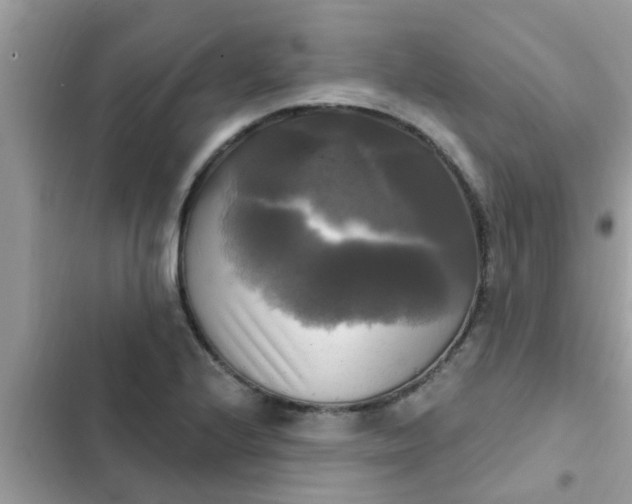 X0000102411224200808151958