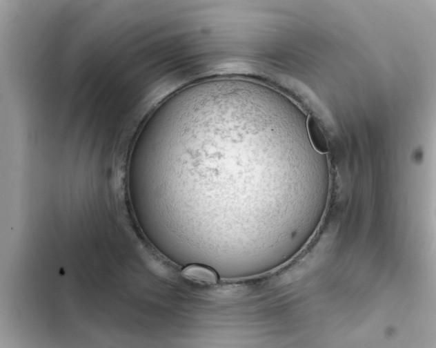 X0000102411225200808151958