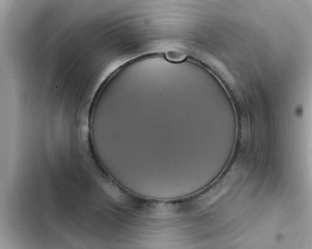 X0000102411226200808151958