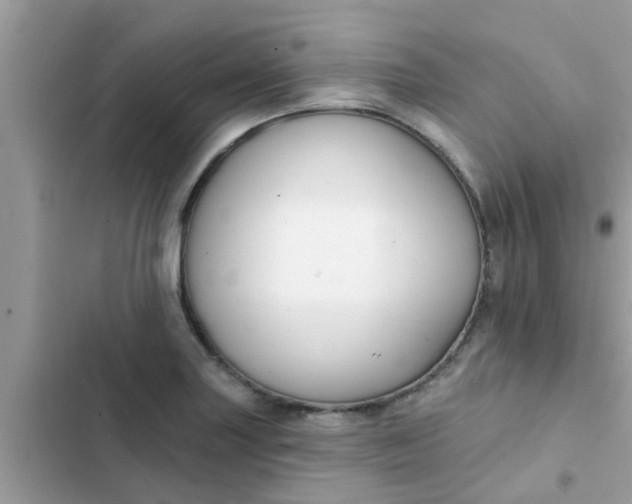 X0000102411227200808151958