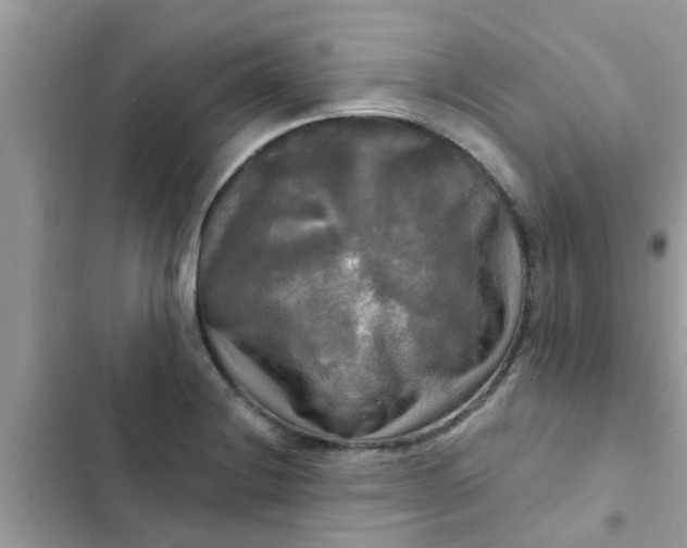 X0000102411228200808151958