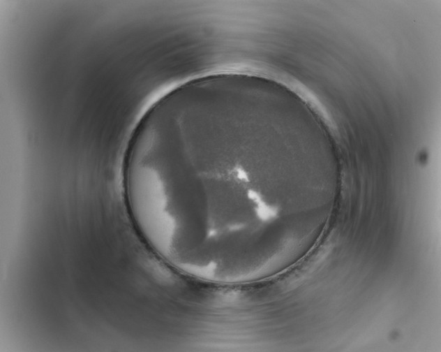 X0000102411230200808151958