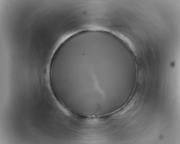 X0000102411231200808151958