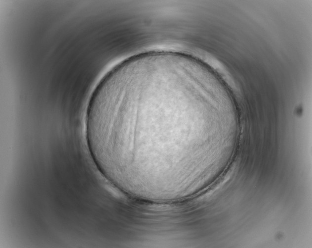 X0000102411232200808151958