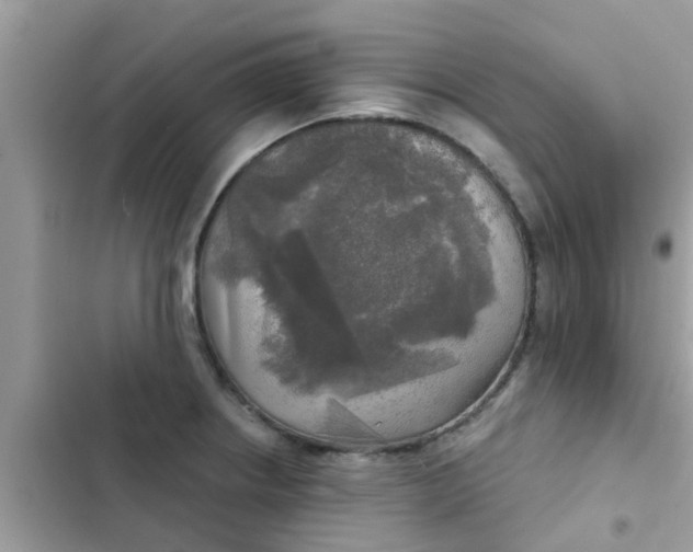 X0000102411234200808151958