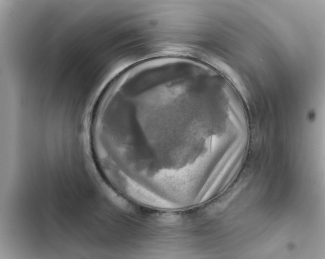 X0000102411235200808151958