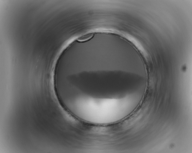 X0000102411237200808151958