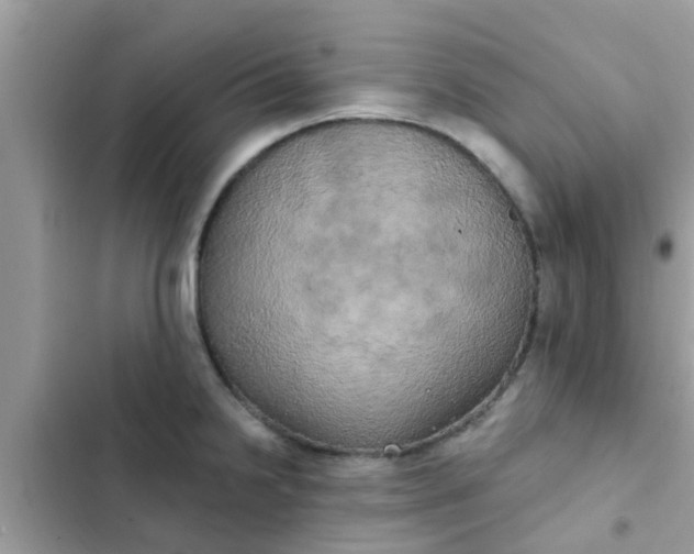 X0000102411238200808151958