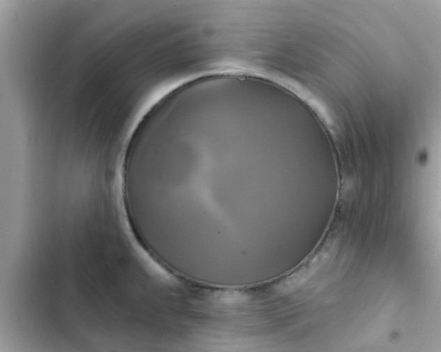 X0000102411239200808151958