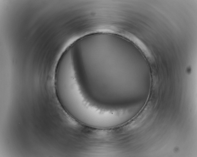 X0000102411240200808151958