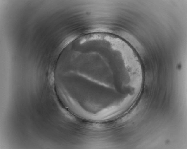 X0000102411241200808151958