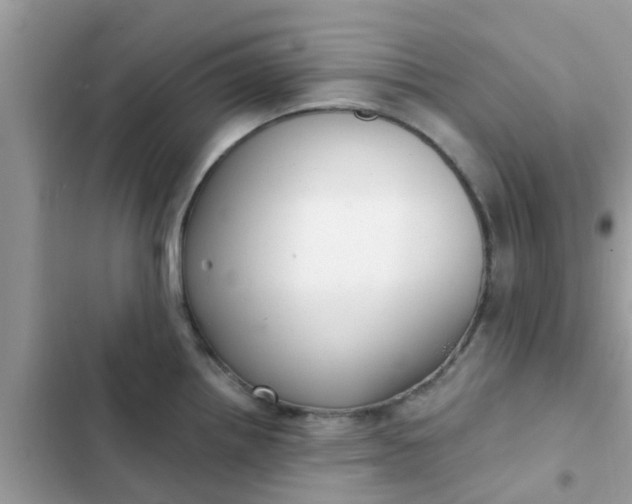 X0000102411242200808151958