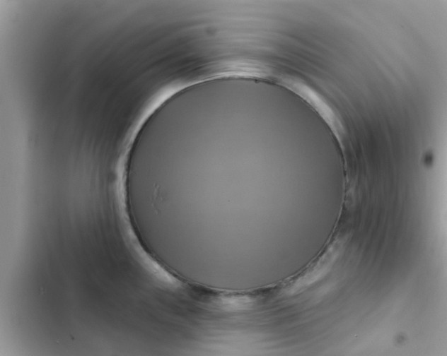 X0000102411243200808151958