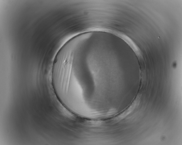 X0000102411244200808151958