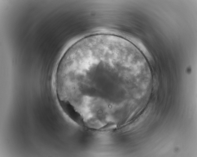 X0000102411247200808151958