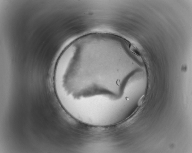 X0000102411248200808151958